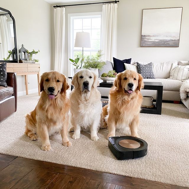 Η σκούπα που θα αγαπηθεί από όλη την οικογένεια…

Σας ευχαριστούμε που μοιράζεστε στιγμιότυπα της καθημερινότητάς σας μαζί μας!

Special thanks to Charlie, Bodie & Riggs from @charlieandbodie :) 

Ζήστε χωρίς περιορισμούς

👉 link in bio 

#irobot #irobotgreece #irobotgr #roomba