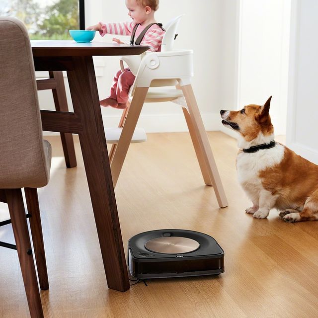 Για να μην προλαβαίνει να πέσει τίποτα κάτω, σας χρειάζεται σίγουρα μια Roomba s9 και … ίσως ένας τετράποδος φίλος!

Ζήστε χωρίς περιορισμούς!

👉 link in bio 

#irobot #irobotgreece #irobotgr #roomba #roombas9+