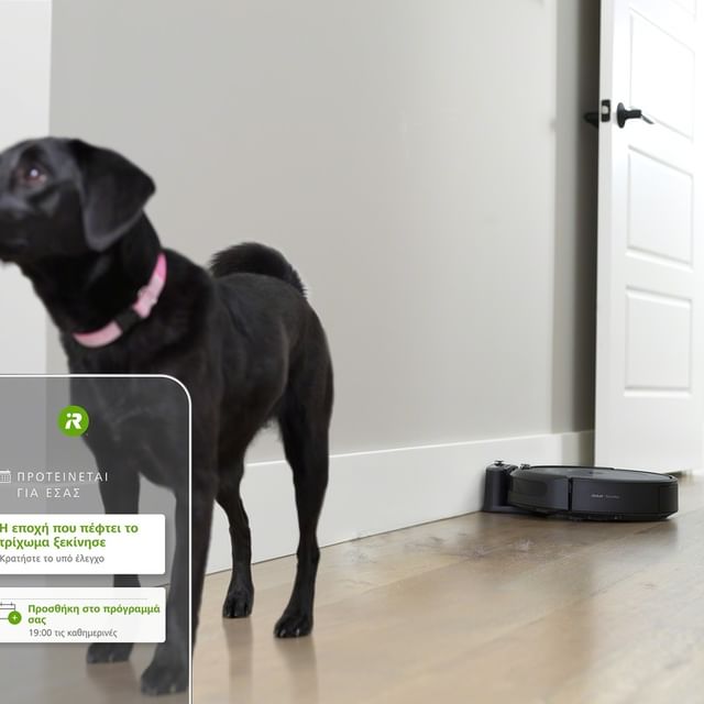 Η εποχή που το σπίτι γεμίζει τρίχες και χνούδια έφτασε! Το iRobot Home App σας βοηθάει να προγραμματίσετε τη Roomba σας, ώστε να έχετε πάντα ένα καθαρό πάτωμα και ταυτόχρονα μαθαίνει τις συνήθειές σας και γίνεται συνεχώς «εξυπνότερο». 

Ζήστε χωρίς περιορισμούς!

👉 link in bio

#irobot #irobotgreece #irobotgr #irobothomeapp #irobothome #roomba #braava