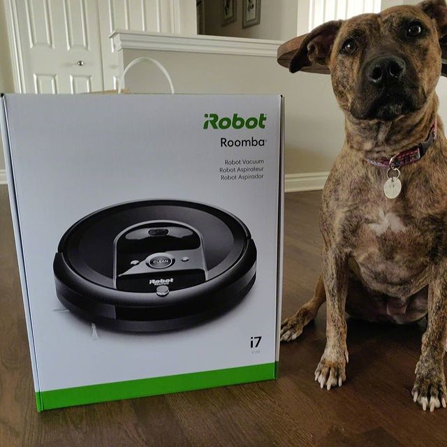 Τί να έχει άραγε το κουτί; Η Venus μόλις γνώρισε τον νέο της φίλο που θα καθαρίζει ώστε εκείνη να απολαμβάνει ξέγνοιαστες στιγμές παιχνιδιού!
@doggovenus, thank you for sharing your roomba i7 with us 🙂
Ζήστε χωρίς περιορισμούς!
👉 link in bio
#irobot #irobotgreece #irobotgr #roomba #braava #roombai7